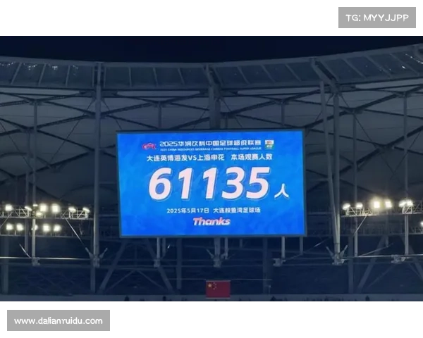 大连英博面对上海申花挑战：困境中的坚持与未来的潜力