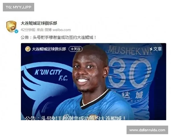 大连鲲城为穆谢奎量身定制何种发展规划与支持措施